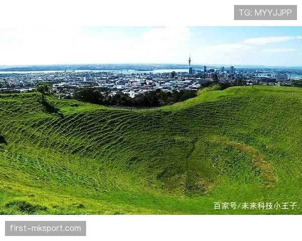 新西兰防线稳定性评估 新西兰防线稳定性评估